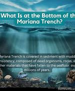 Image result for The Bottom of the Mariana Trench