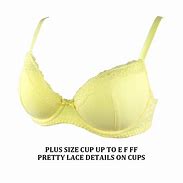 Image result for plus size lace bra set