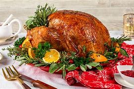 Image result for Turkey Briner