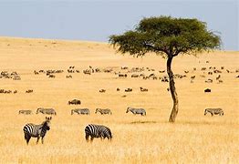 Image result for Fascinating Places in Kenya