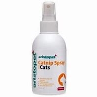 Image result for Catnip Spray