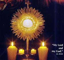 Image result for Eucharistic Miracle at Lanciano