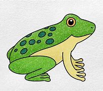 Image result for Rainbow Frog Drawing Art