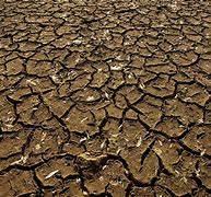 Image result for Dry Land Drawing