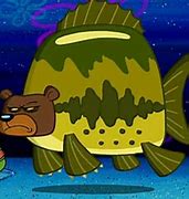 Image result for Where to Fish Sea Bear