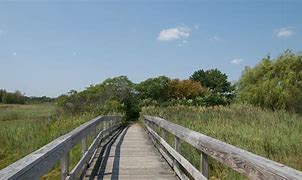 Image result for Belle Isle Marsh Logan Airport