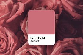 Image result for Rose Gold La