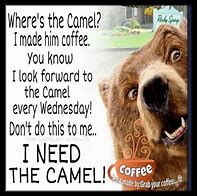 Image result for Hump Day Coffee Meme