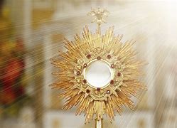 Image result for Eucharist Miracle Multiply