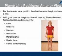 Image result for Standing Posture Plumb Line