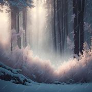 Image result for Dark Forest Night Snow