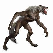 Image result for Evil Wolf PNG