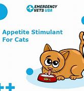 Image result for Cat Appetite Stimulant