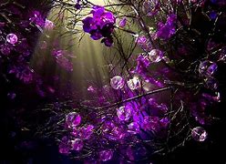 Image result for Purple Be Kind