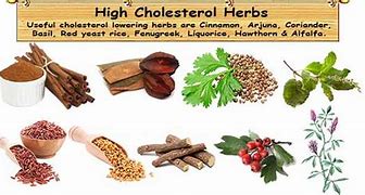 Image result for Herbs for Cholesterol Control