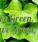 Image result for Green Slogans