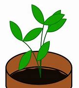 Image result for Plant Sale Clip Art