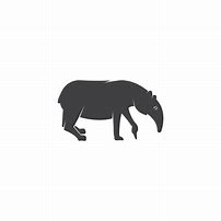 Image result for Tapir Vector