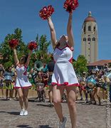 Image result for Stanford Dollies