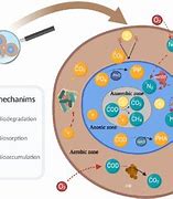 Image result for Aerobic Granular Sludge Process