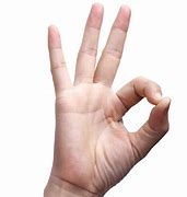 Image result for Togakure Hand Signs