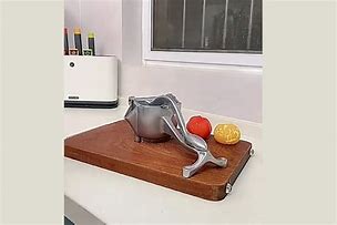 Image result for Manual Countertop Juicer