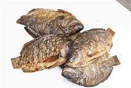 Image result for Spoilt Tilapia Fish