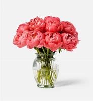 Image result for Tecumseh Peony