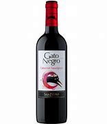 Image result for Gato Negro Fezenet