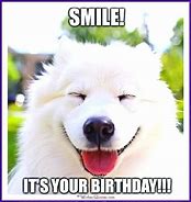 Image result for Puppy Birthday Meme