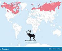 Image result for reindeer and caribou habitat