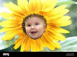 Image result for Sunflower Happy Face