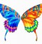 Image result for butterfly wings patterns