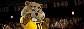 Image result for Goldy Gopher Baby