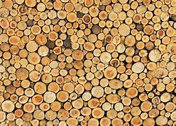 Image result for Wood Wall Texture Log