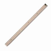 Image result for Catch a Meter Ruler Stick