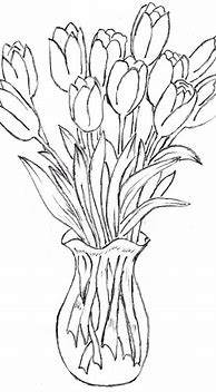 Image result for Glass Vase Drawing