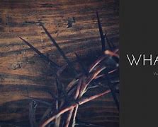 Image result for Lent Liturgical