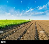 Image result for Arable Land Use