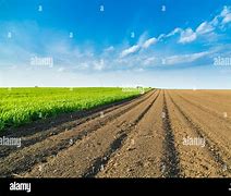 Image result for Arable Land Means