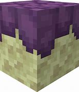 Image result for End Bar Minecraft