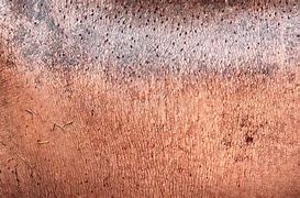 Image result for Hippo Skin Print