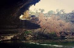 Image result for Hamilton Pool Preserve Hiking Trail Map