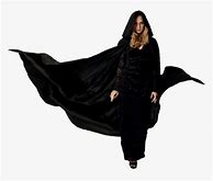 Image result for Lady in White and Gold Hooded Cloak