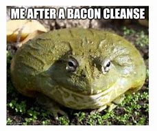 Image result for Flat Frog Meme