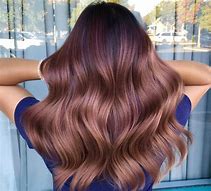 Image result for Beautiful Shiny Hair