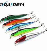 Image result for Fake Minnow Fishing Set Up