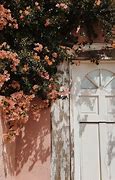 Image result for Abanded House Aesthetic