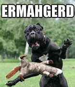 Image result for Mastiff Memes