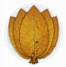 Image result for Tobacco Leaf with Plume